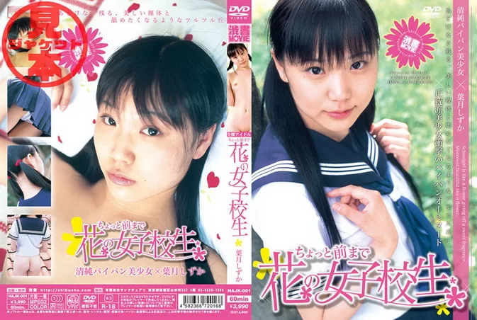 Cover for DCG-02 Shizuka Hazuki 葉月しずか High School Student vol.2 Shibuyashoten HAJK-001 全集封面