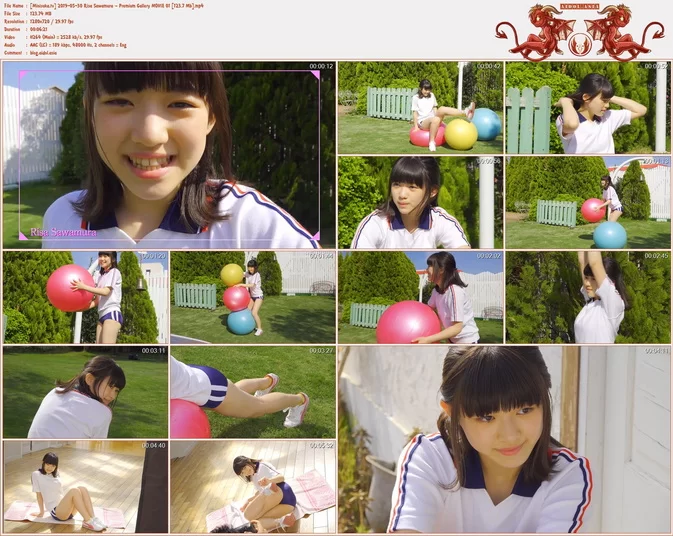 Cover for Risa Sawamura 沢村りさ Video collection