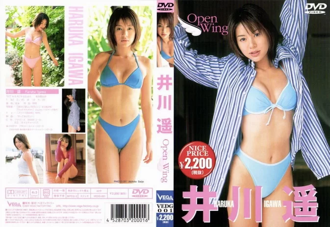 Cover for VEDG-001 Haruka Igawa 井川遥 – OPEN WING