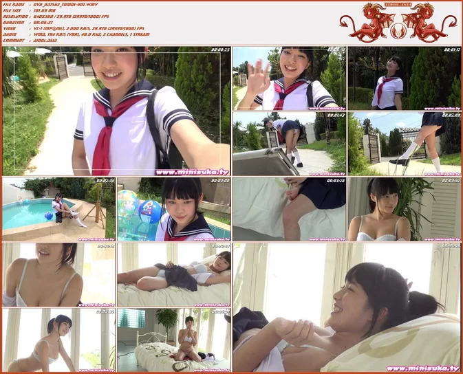 Cover for Minisuka.tv 2013-10-03 Tomoe Yamanaka 山中知恵 - Limited Gallery MOVIE 18.1